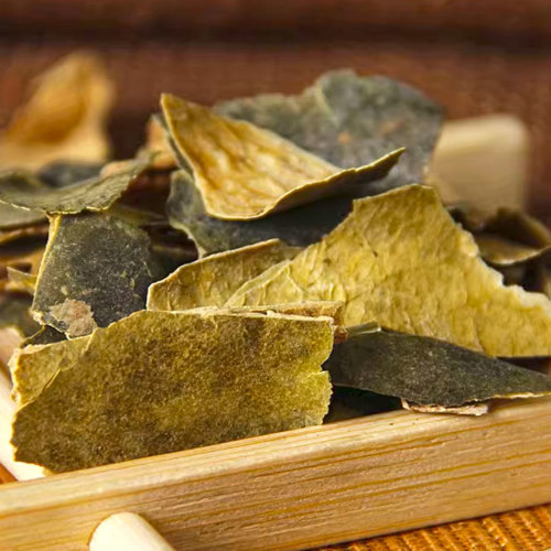 Dong Gua Pi (Wax gourd peels) as TCM ingredient