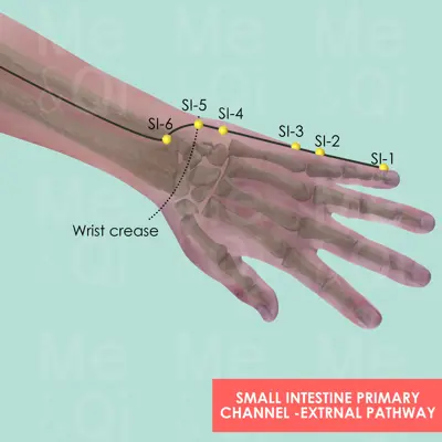 Small Intestine Primary Channel pathway