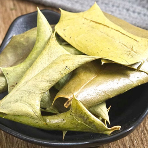 Gong Lao Ye (Chinese holly leaves) as TCM ingredient