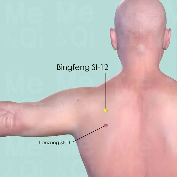 Bingfeng SI-12 location