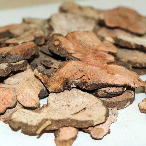 Jin Qiao Mai (Perennial buckwheat roots) as TCM ingredient