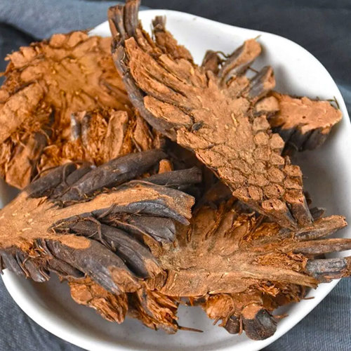 Guan Zhong (Male fern rhizomes) as TCM ingredient