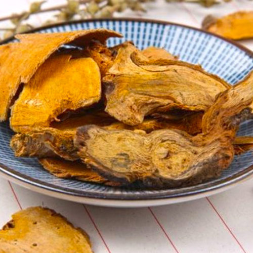 Hu Zhang (Bushy knotweed rhizomes) as TCM ingredient