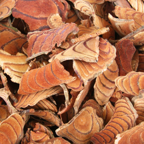 Ji Xue Teng (Spatholobus stems) as TCM ingredient