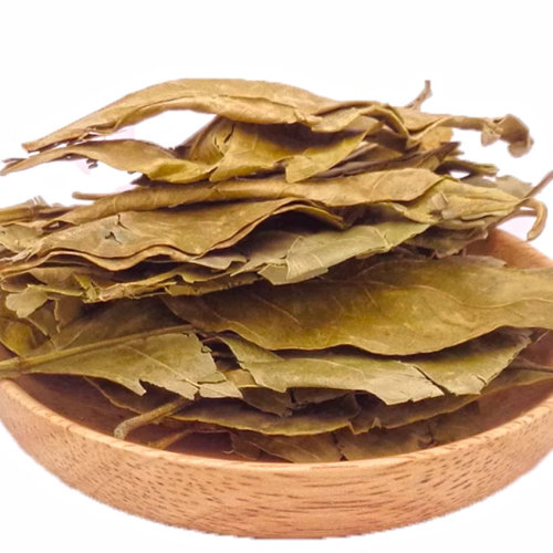 Ju Ye (Tengerine leaves) as TCM ingredient