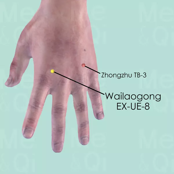 Wailaogong EX-UE-8 - Skin view - Acupuncture point on Extra Points: Upper Extremities (EX-UE)