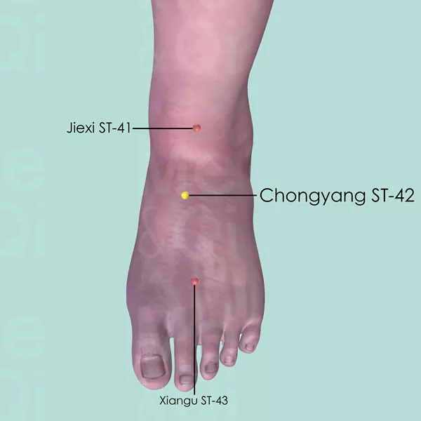 Chongyang ST-42 - Skin view - Acupuncture point on Stomach Channel