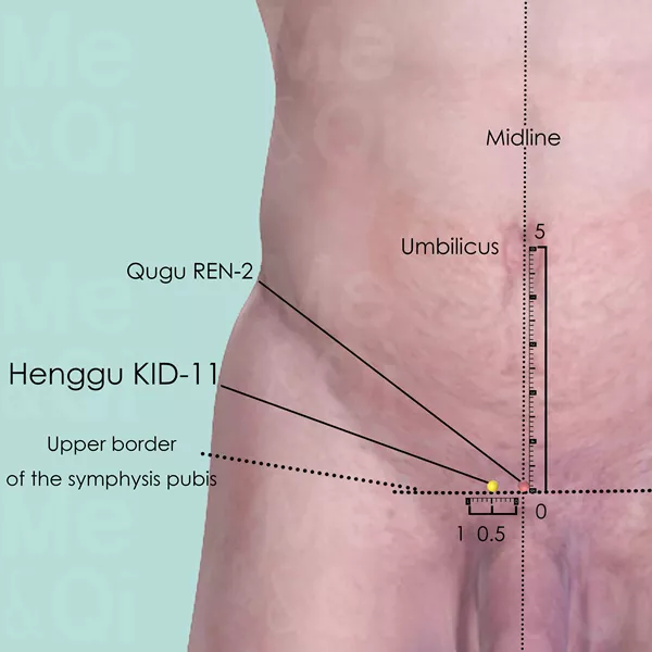 Henggu KID-11 - Skin view - Acupuncture point on Kidney Channel