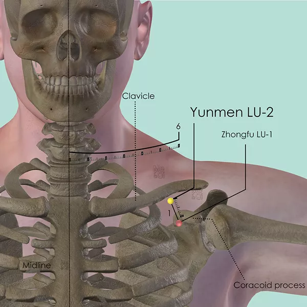 Yunmen LU-2 - Bones view - Acupuncture point on Lung Channel
