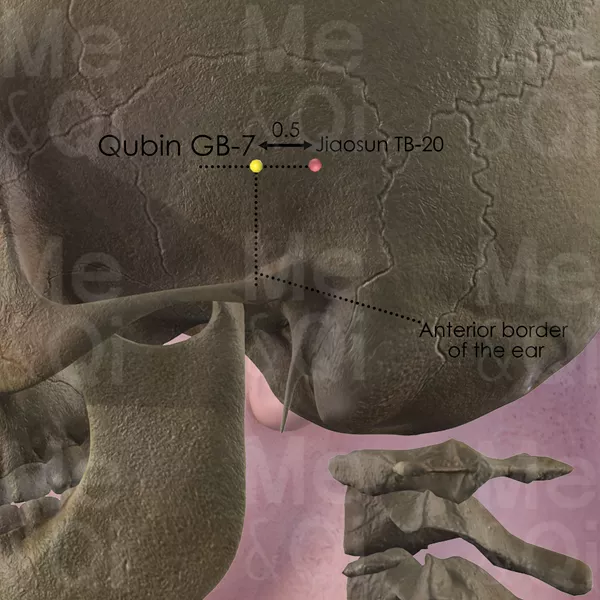 Qubin GB-7 - Bones view - Acupuncture point on Gall Bladder Channel
