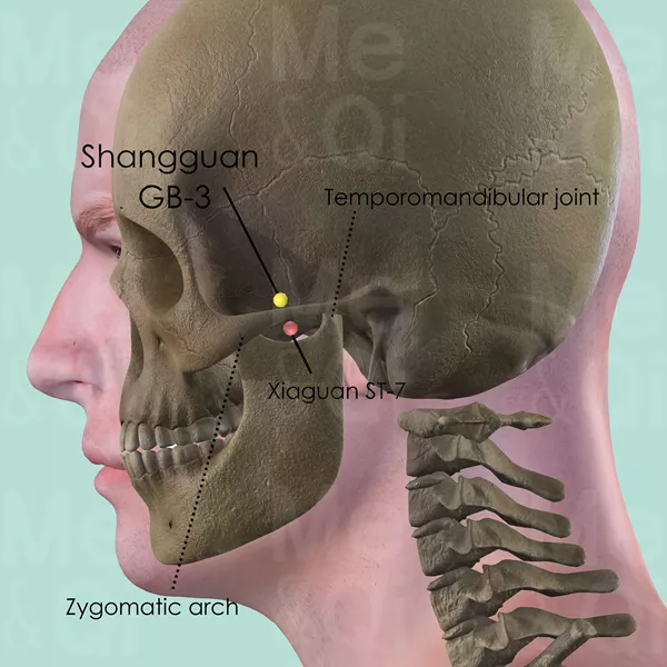 Shangguan GB-3 - Bones view - Acupuncture point on Gall Bladder Channel