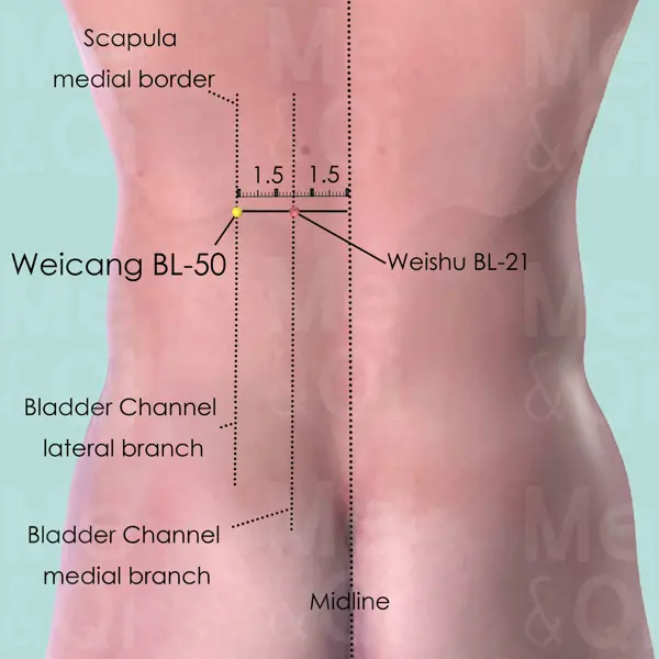 Weicang BL-50 location