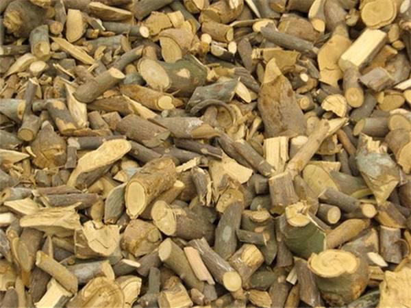 Liang Mian Zhen (Shiny-leaf prickly-ash) as TCM ingredient