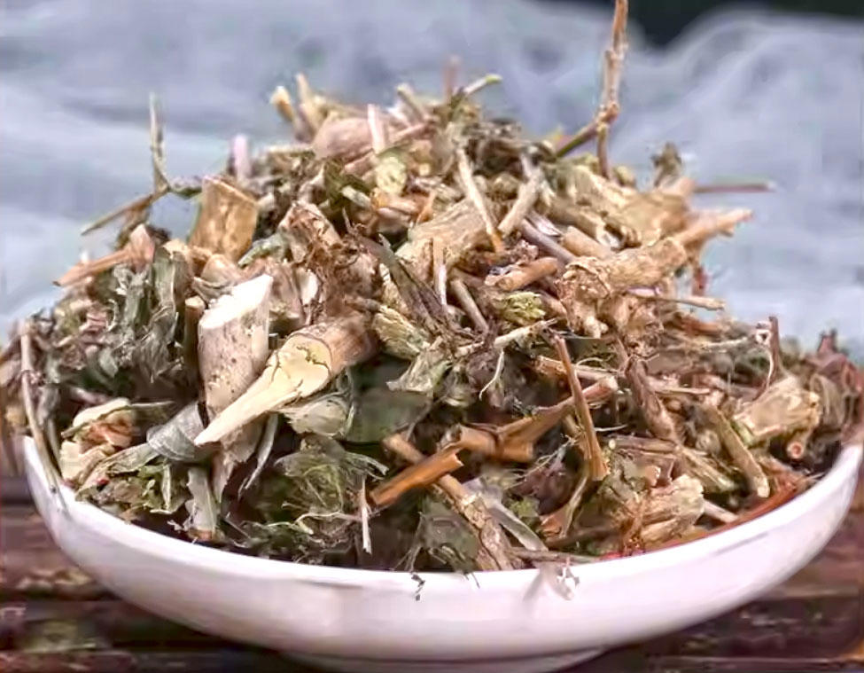 Liu Yue Xue (Snowrose) as TCM ingredient