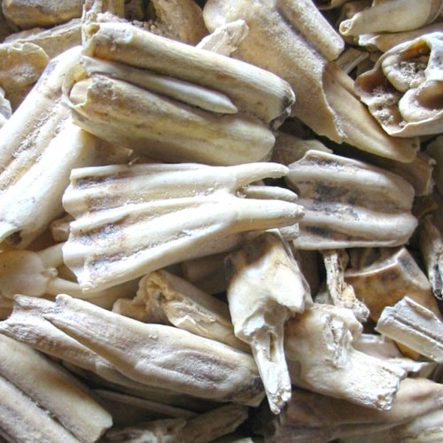 Long Chi (Dragon tooth) as TCM ingredient