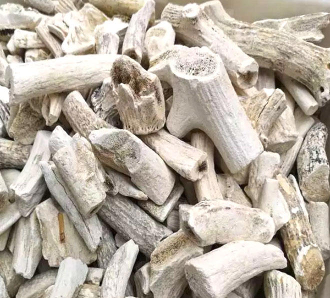 Lu Jiao Shuang (Degelatined antlers) as TCM ingredient