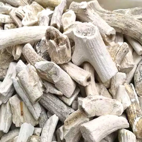 Lu Jiao Shuang (Degelatined antlers) as TCM ingredient