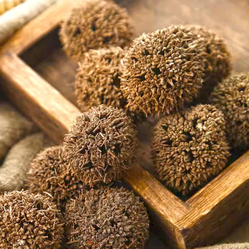 Lu Lu Tong (Sweetgum fruits) as TCM ingredient