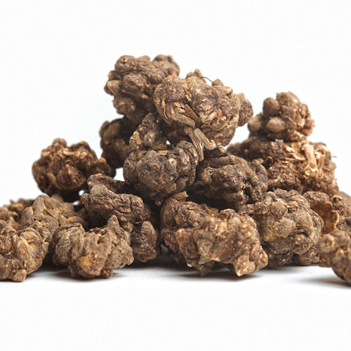 Mao Zhao Cao (Catclaw buttercup roots) as TCM ingredient