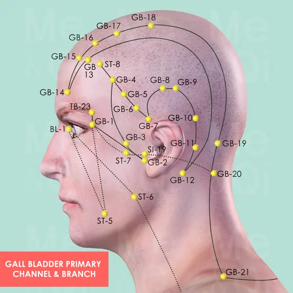 Gall Bladder Meridian pathway diagram