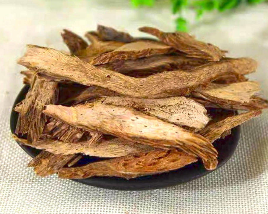 Qian Nian Jian (Homalomena rhizomes) as TCM ingredient