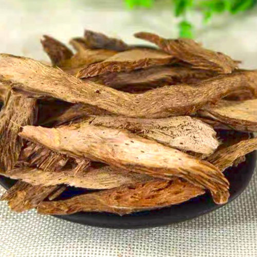 Qian Nian Jian (Homalomena rhizomes) as TCM ingredient