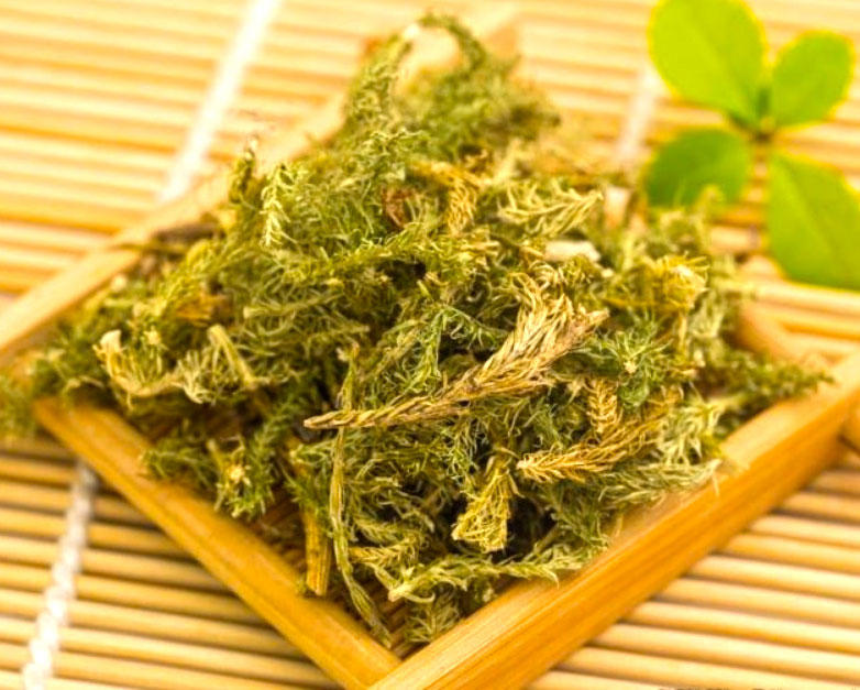 Shen Jin Cao (Ground pine) as TCM ingredient