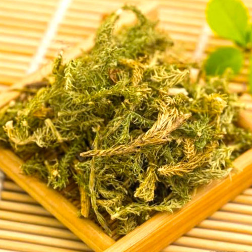 Shen Jin Cao (Ground pine) as TCM ingredient