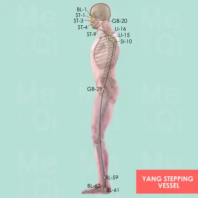 Yang Stepping Vessel pathway