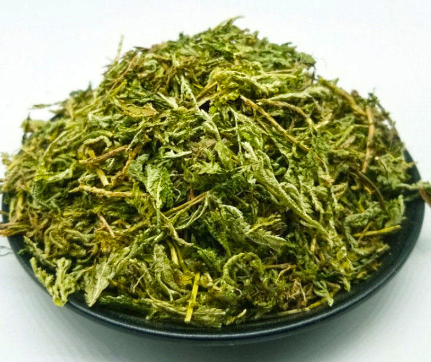 Shi shang Bai (Selanginella herbs) as TCM ingredient