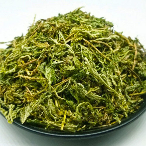 Shi shang Bai (Selanginella herbs) as TCM ingredient