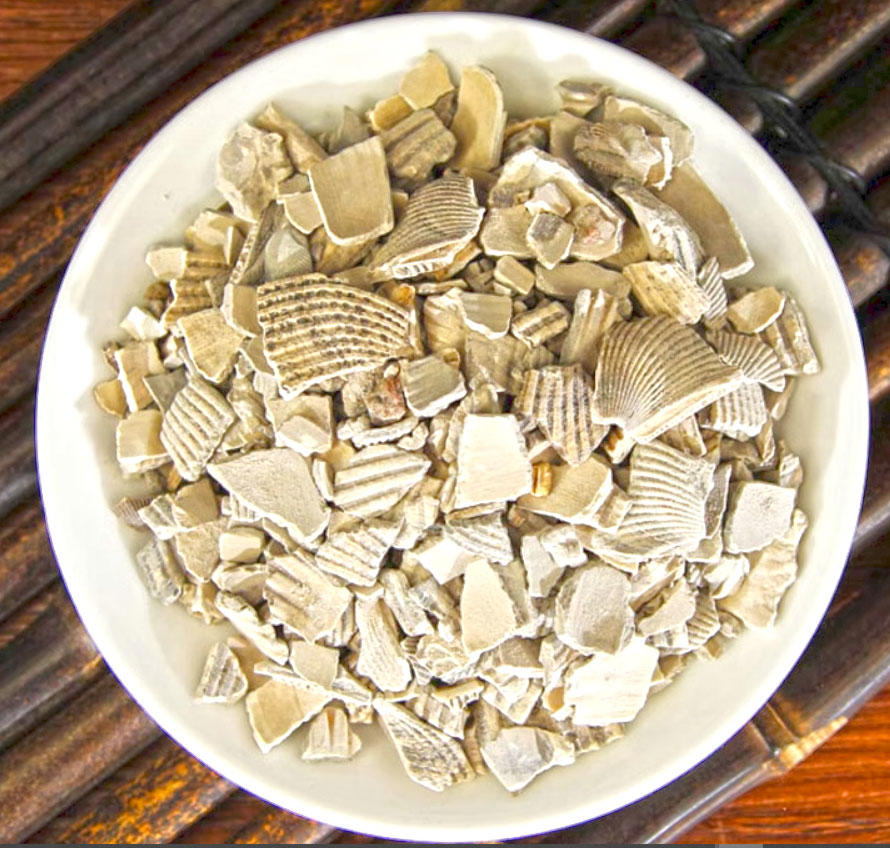 Wa Leng Zi (Cockle shells) as TCM ingredient