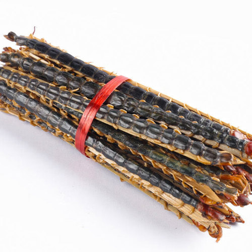 Wu Gong (Centipedes) as TCM ingredient