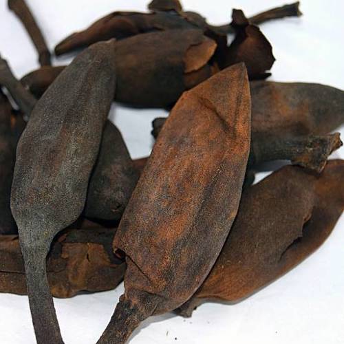 Hou Po Hua (Houpu Magnolia flowers) as TCM ingredient