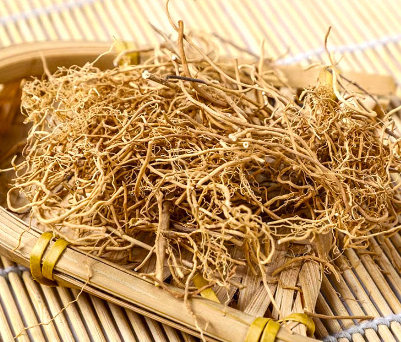 Xu chang Qing (Paniculate swallowwort roots) as TCM ingredient