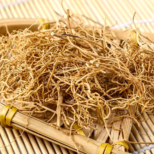 Xu chang Qing (Paniculate swallowwort roots) as TCM ingredient