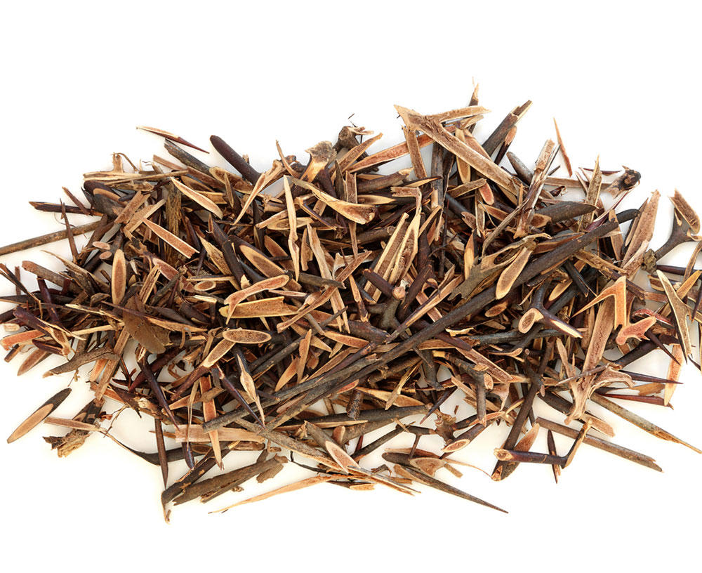 Zao Jiao Ci (Gleditsia thorns) as TCM ingredient