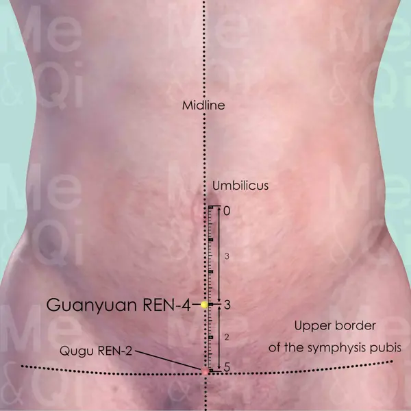 Guanyuan REN-4 location