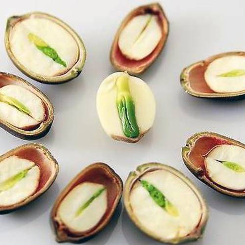 Lian Zi Xin (Lotus plumules) plant