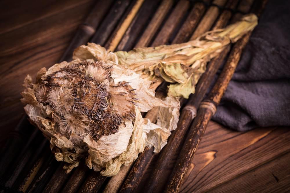 Xue Lian (Snow lotus) as TCM ingredient