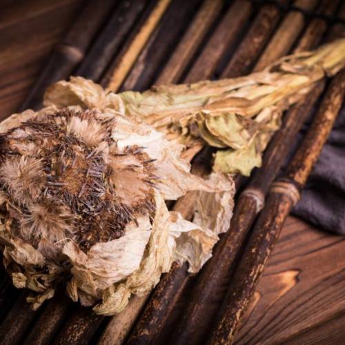 Xue Lian (Snow lotus) as TCM ingredient