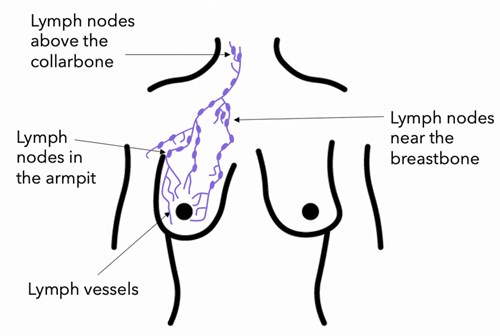 Massage Towards Lymph Nodes
