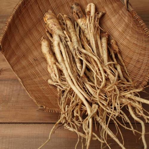 Jie Geng (Platycodon roots) as TCM ingredient