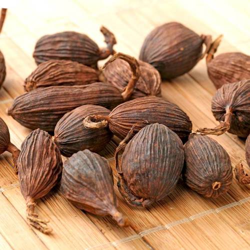 Sha Ren (Amomum fruits) as TCM ingredient