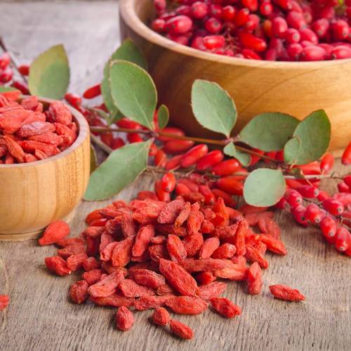 Gou Qi Zi (Goji berries) plant