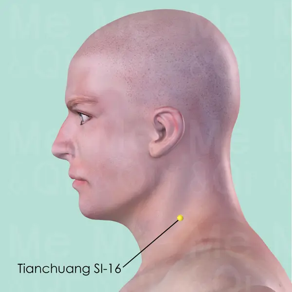 Tianchuang SI-16 location