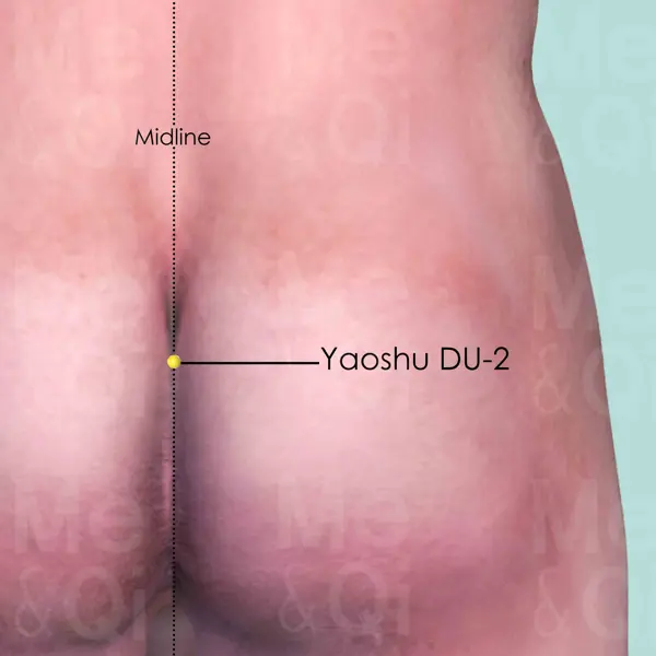 Yaoshu DU-2 location