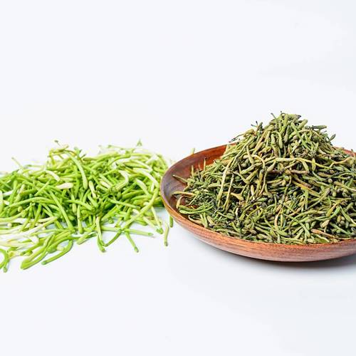 Jin Yin Hua (Honeysuckle flowers) as TCM ingredient