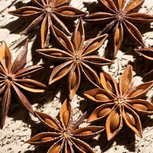 Ba Jiao Hui Xiang (Star Anise) plant