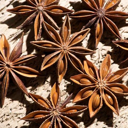 Ba Jiao Hui Xiang (Star Anise) plant